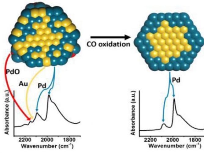 Cross section of the AuPd nanoparticles before and after CO oxidation, where the red,blue, and yellow balls indicate O, Pd, and Au atoms, respectively. The associated assignments of the DRIFTS spectra are indicated.