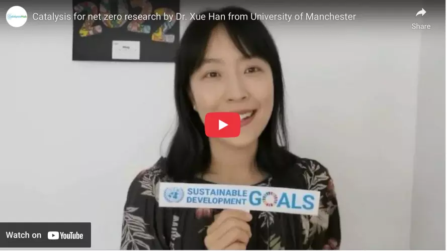 xue han net zero video screenshot 2025 05 23 at 12 52 34