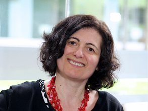 photo of adisa azapagic