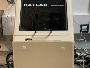 photo of cat lab