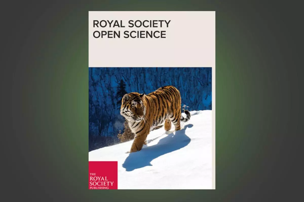 UK Catalysis Hub special RSC collection cover