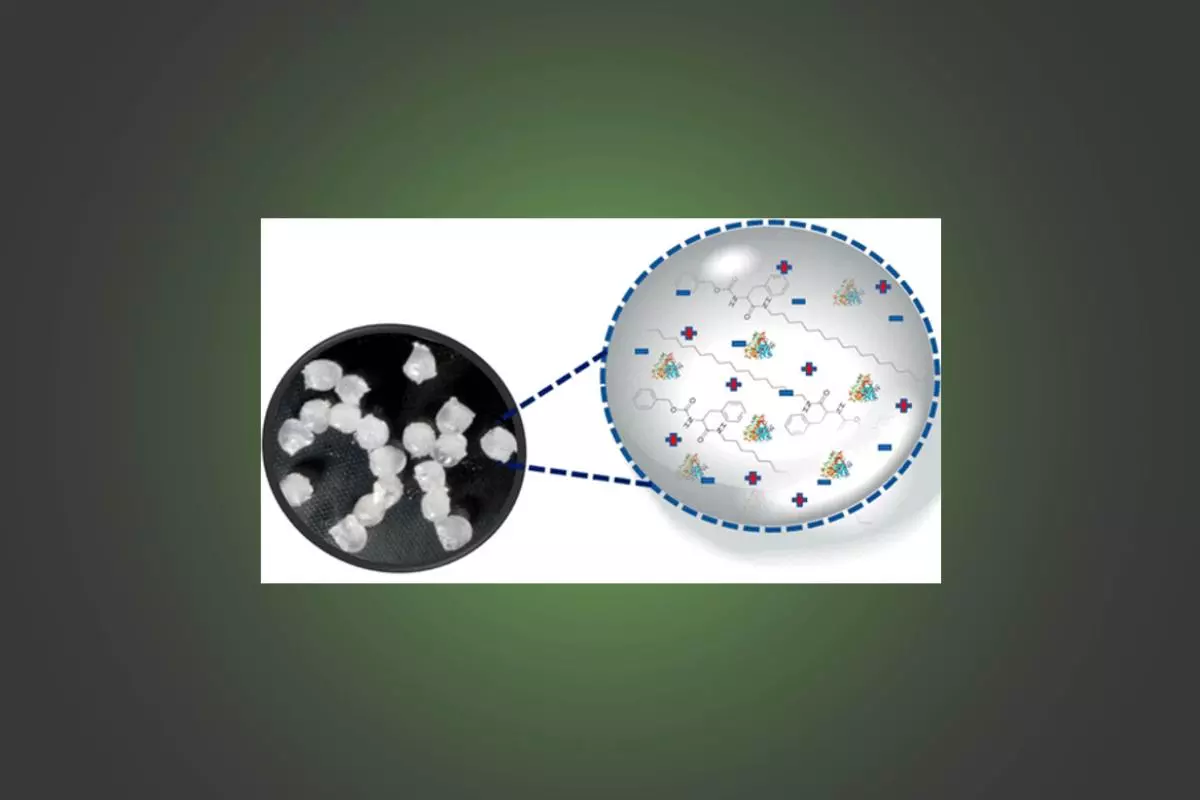 Supramolecular Ionic Liquid Gels for Enzyme Entrapment abstract