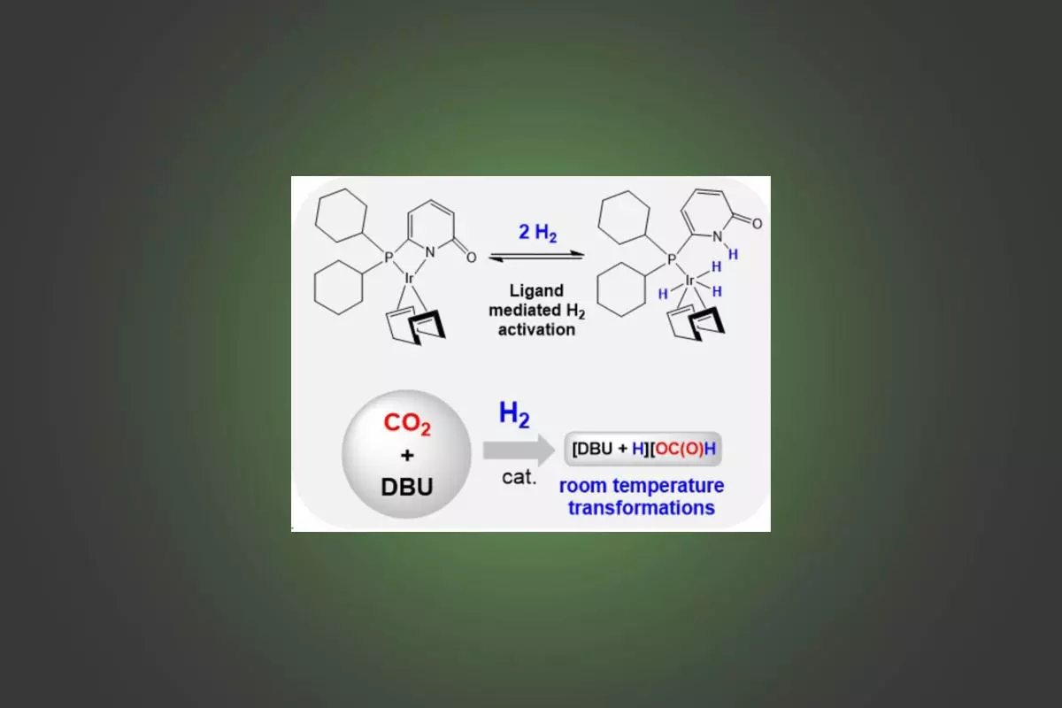 Room Temperature Hydrogenation of CO2 Utilizing a Cooperative Phosphorus Pyridone-Based Iridium Complex abstract