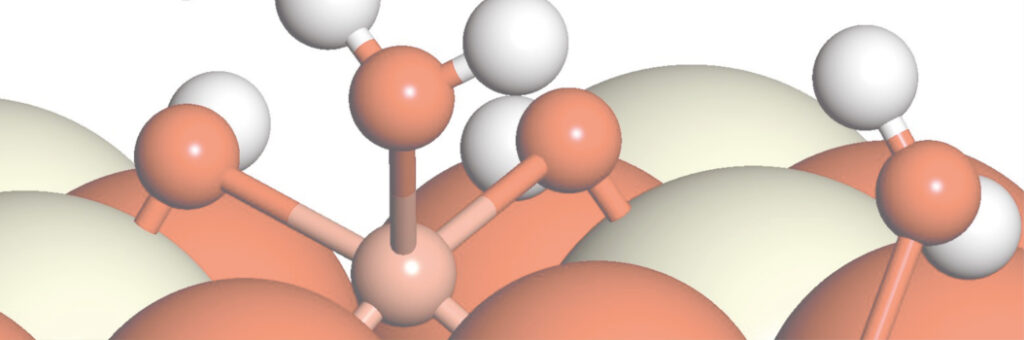 cat hub research banner