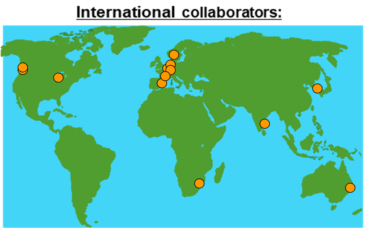 graphic international cat hub collaborators